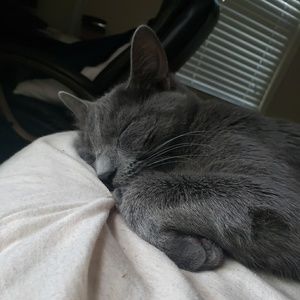 Meet your Posher, Danny